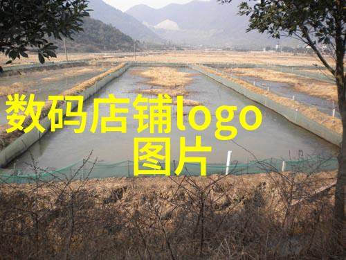 向日葵视频app下载网站进入站长统计我是如何发现一款神奇应用的使用人数惊人的增长秘密
