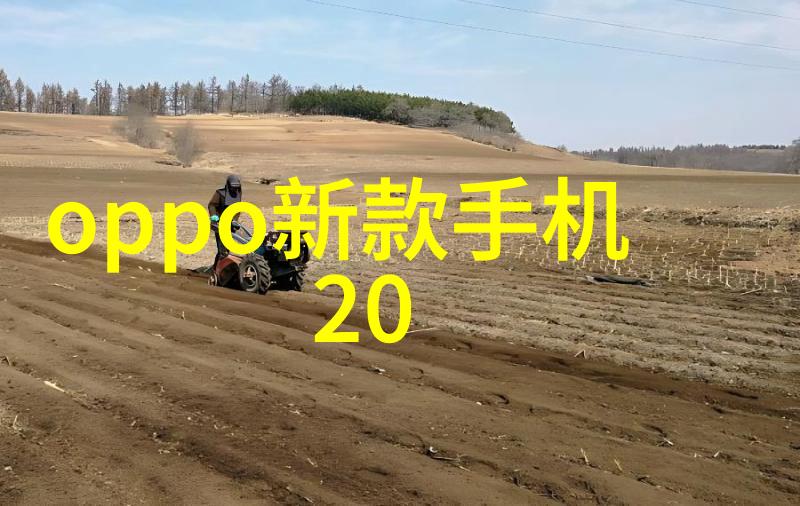 精密制造丸剂机械行业的新纪元