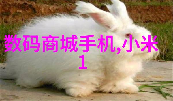 主题我是如何在家里安装燃气蒸汽发生器的