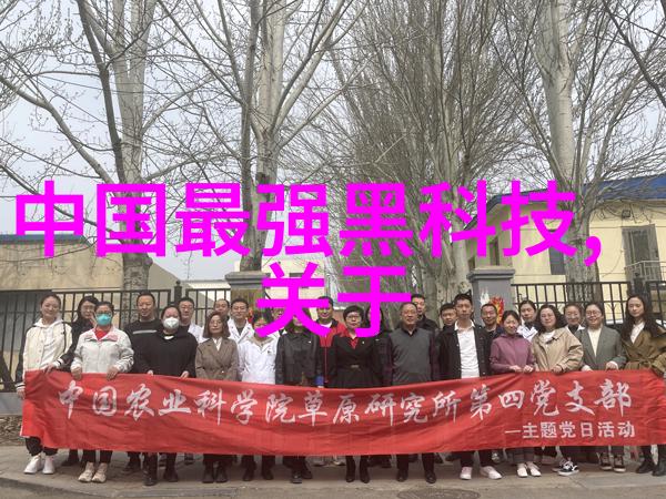 瓷砖艺术-亚细亚瓷砖传统工艺与现代审美的完美融合