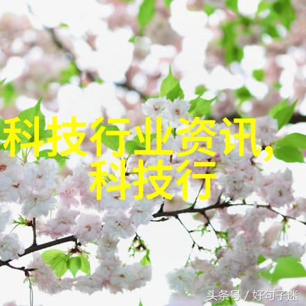 模板与奇迹报告的双面神话