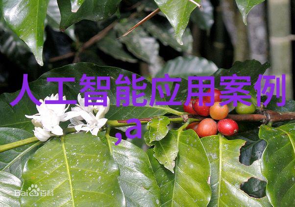 学生创新创业计划西南财經大學激发下一代潜能之地