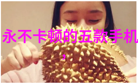 从基础到高级如何正确地选择适合您家的水龙头配件与水管尺寸