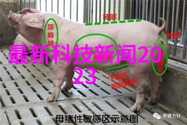遮天txt全集-神话世界的无尽传说遮天txt全集阅读指南