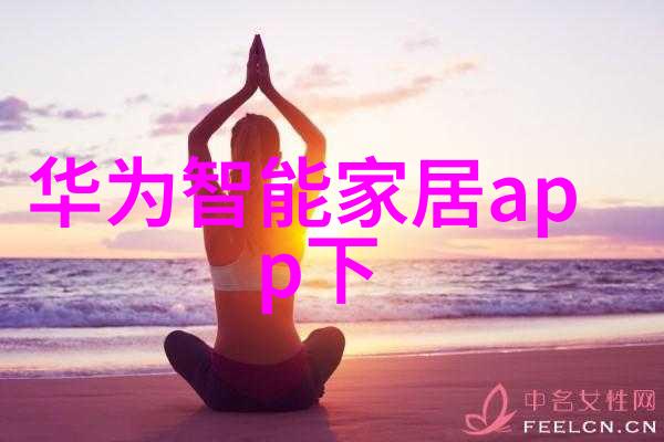 主题我是如何通过丝网规整填料型号让我的生活更加有序的