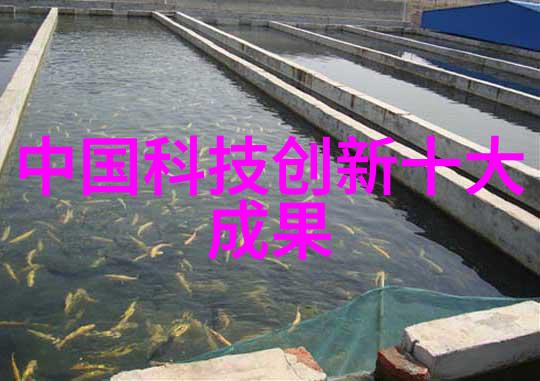 B站大但人文艺术探索视频社区背后的文化与创意