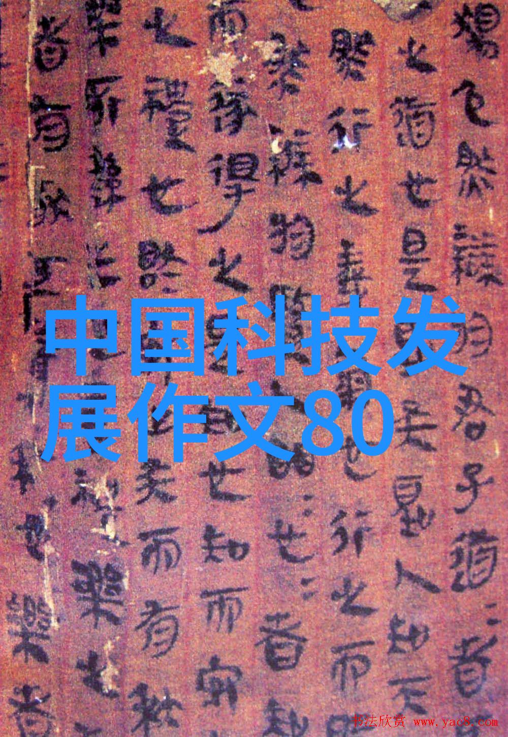 PCR技术的精确操作艺术如何高效进行基因扩增