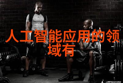 角色扮演系统npn赵青蔓虚拟现实的美丽冒险