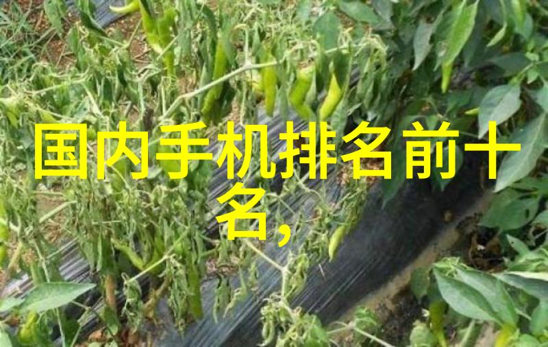 化学工程反应器设计与工艺流程优化的艺术探究