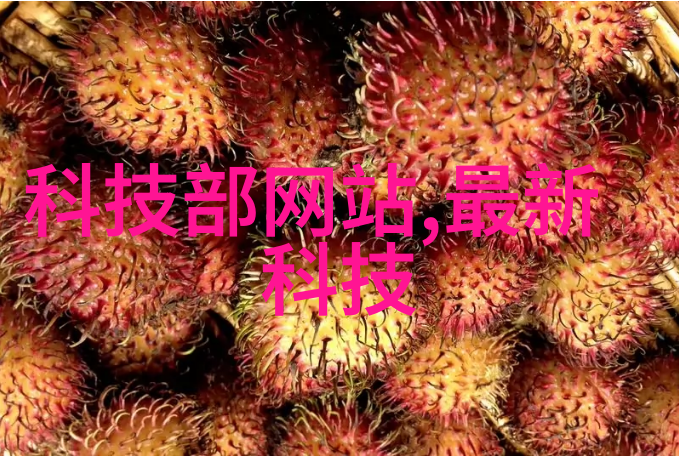 垃圾处理革命油水分离器的奇迹