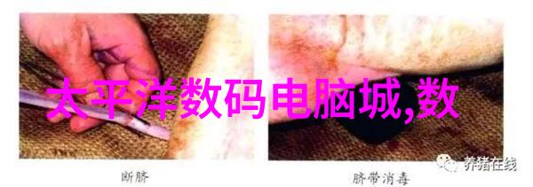 碧血洗银枪txt下载我来教你如何轻松获取这部热门小说