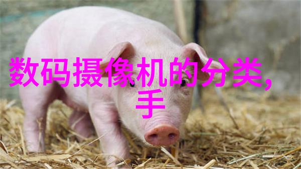 大型净水设备安装流程详解从规划到调试的全方位指南