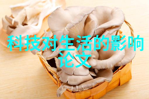 现代化屠宰设备如何减少污染和废物产生