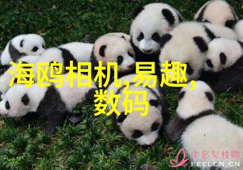 是否可以通过特定的维护措施来提高不锈钢反应釜的性能