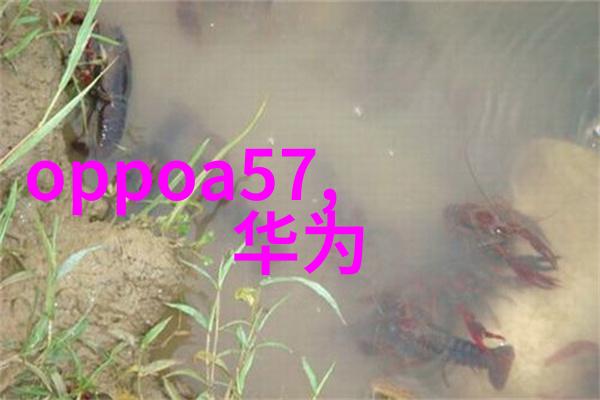 2023年轻人最佳投影仪选择当贝D5X明日开启画质盛宴等同数码印刷展会上的星光大汇聚