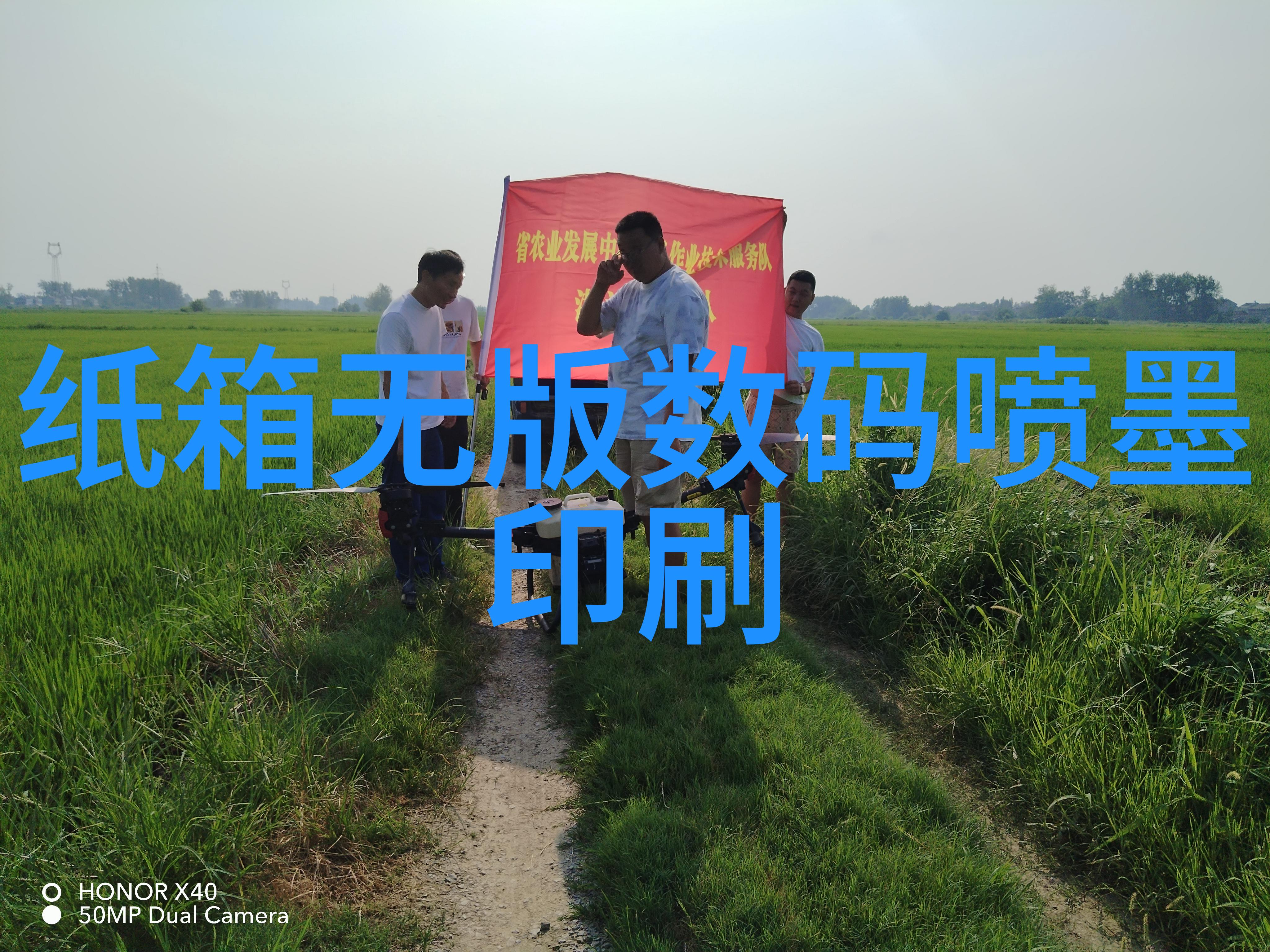微观奇迹芯片之谜解析