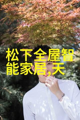 烤包器的使用简便性有哪些优势