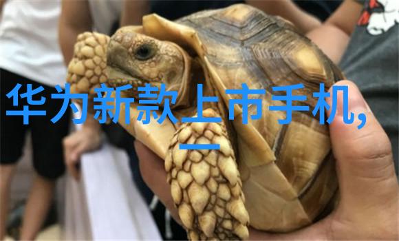丝网波纹填料装填艺术的精妙之处