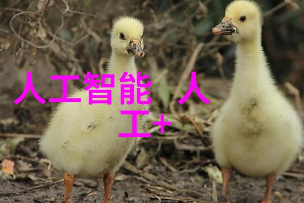 小型除尘器清洁工的新伙伴