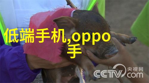 丝网填料阻力我是怎么发现自己在做实验时总是忘记了这个小细节