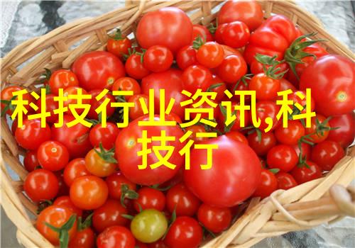 解密工业流程中的关键设备油水分離器内部构造图解释