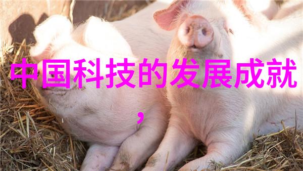 金鼎杀菌釜家用健康的守护者
