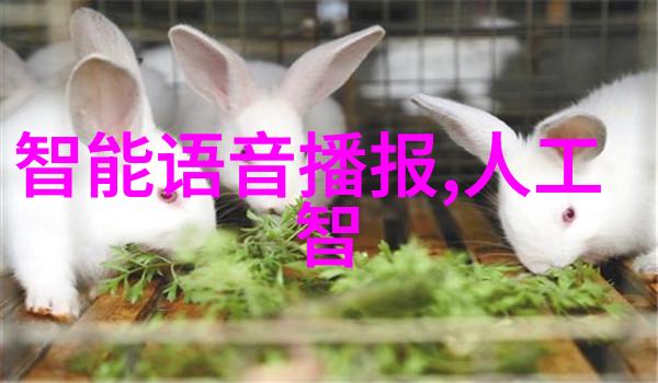 波纹丝网填料的秘密探索Aspen技术革新