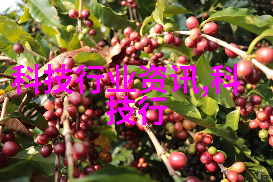 方案合同我的项目合作小结