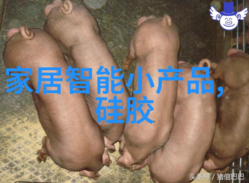 卫生间防水材料选择指南透气性耐久性与美观性的完美结合