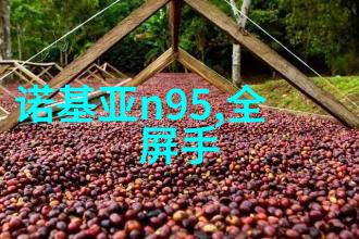 钢铁门前秘密重铸