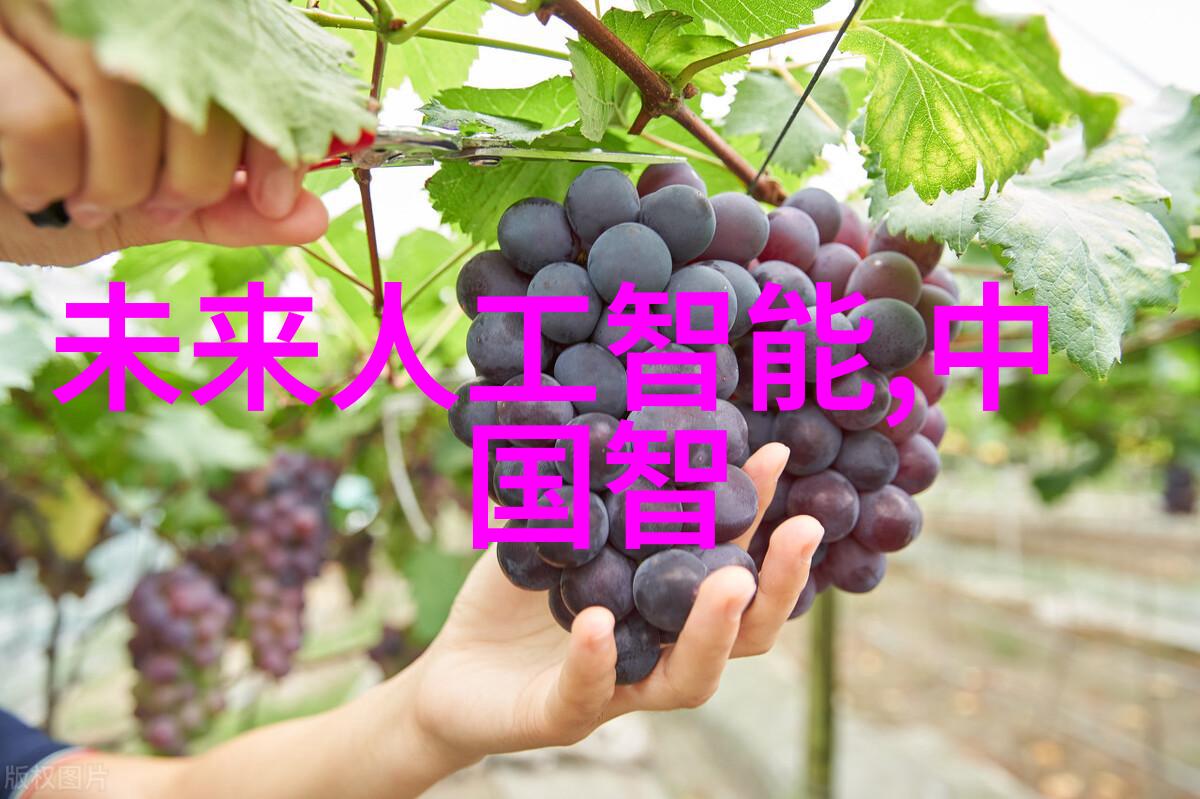 数字印刷与传统印刷两种艺术的对话