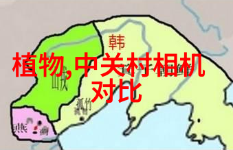 日本美景中的野花探秘手机拍摄技巧与精选集