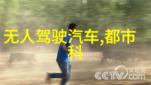 社会中别墅装修与普通房屋装修的差异探究专业设计师的视角