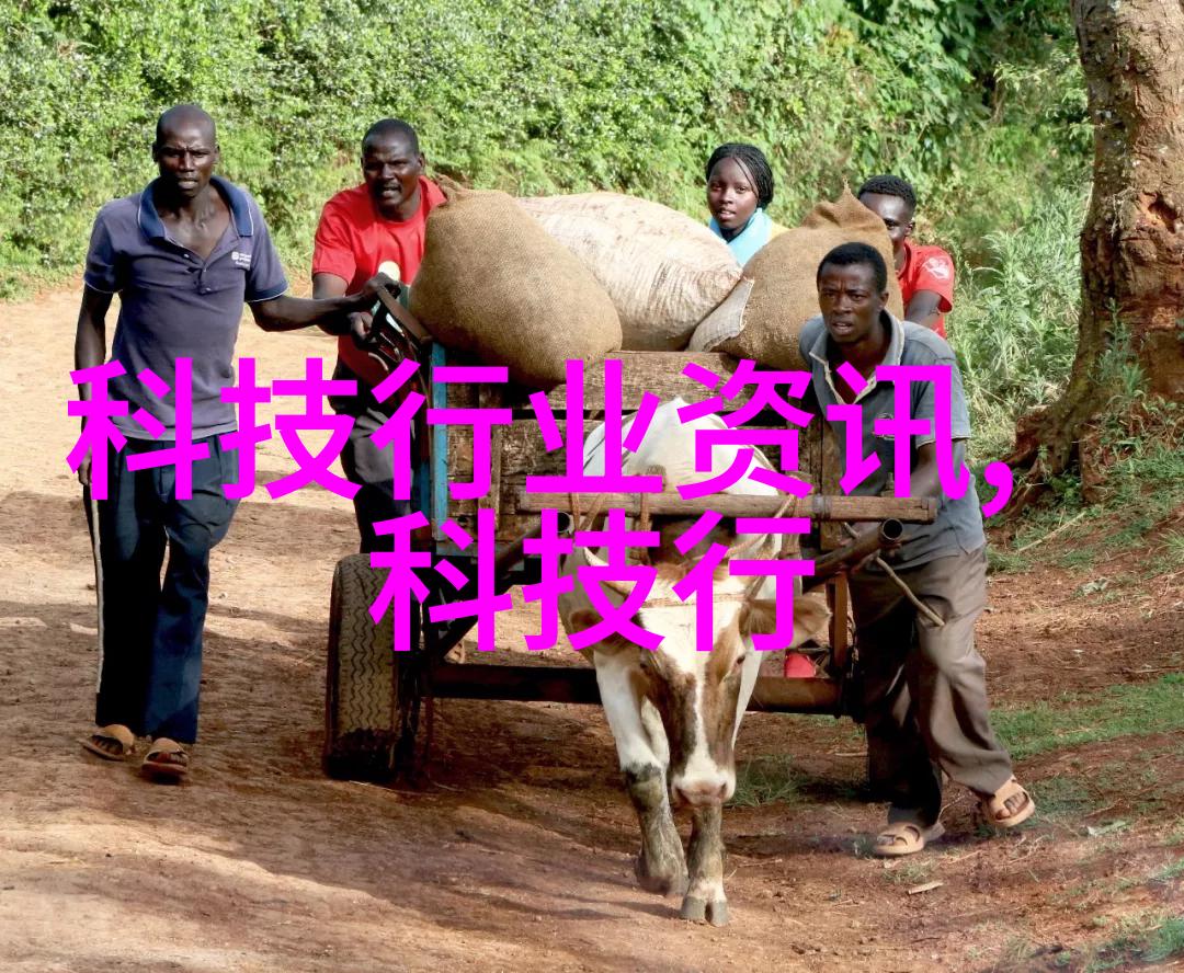 重生后我被帝君宠坏了我是他的宠儿从废柴到神话级别的奇迹