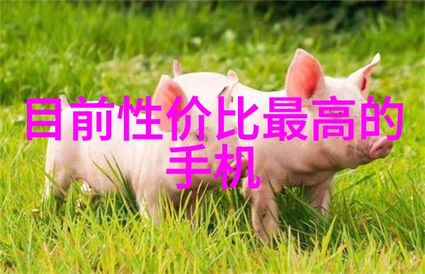 双锥回转真空干燥机高效低能耗的先进干燥设备