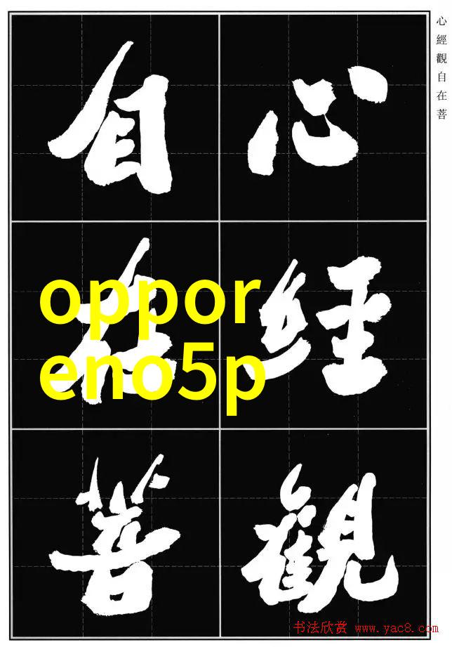 网络电视未来几年将成发展最快新兴媒体之一