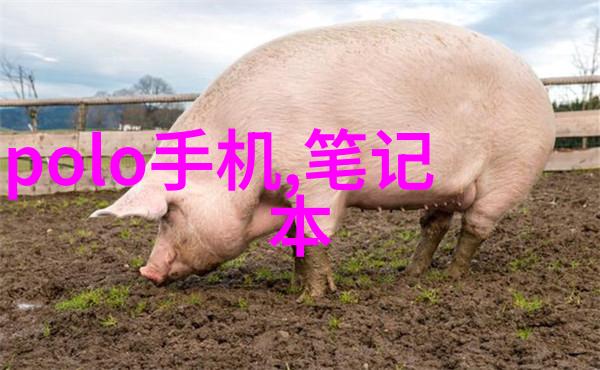 河南PE管材生产厂家-河南省内领先的PE管材制造商质量卓越服务全心