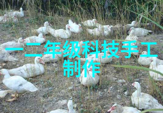 探索Pert管材之谜了解其特性与应用领域