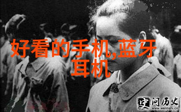 冷链革命山东北斗如何引领未来食品安全标准