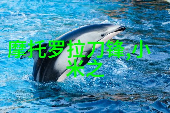 大型净水设备安装流程我的家里也要这样操作了