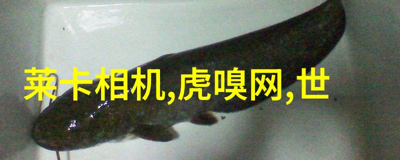 在生物学研究中小型加热炉可以用于哪些特定过程或仪器组件上
