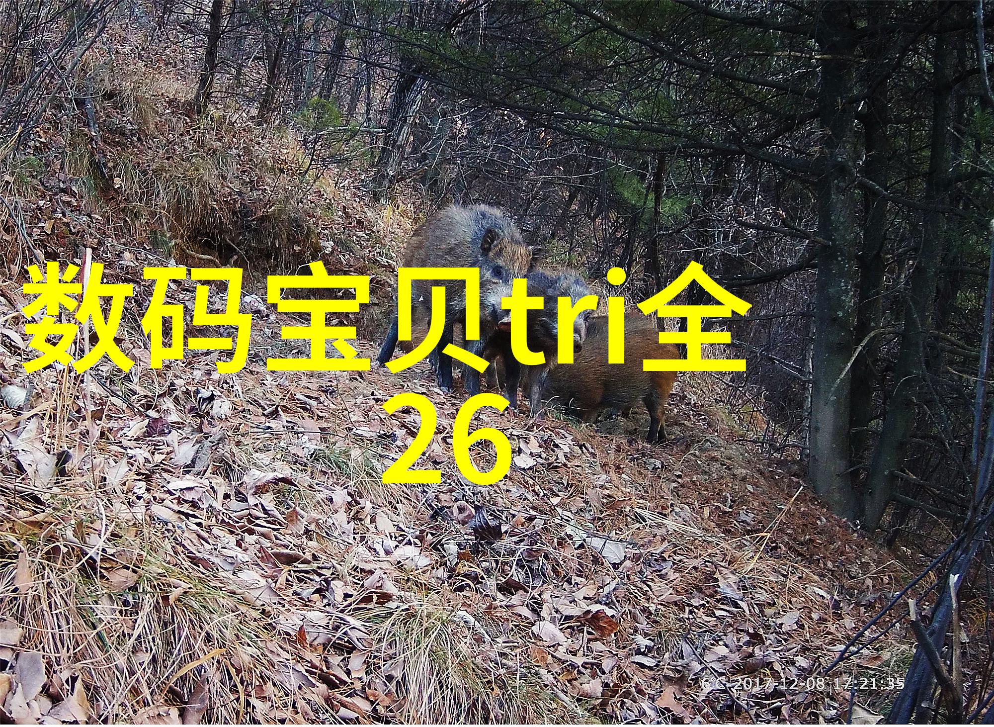 构建未来中国智能交通网的发展与挑战