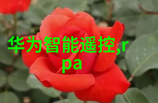 深渊之泵轴流的秘密与沉默