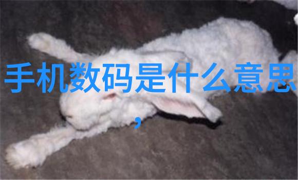 粘土泥石分离机的运作原理与应用概述