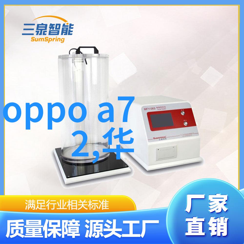 芯片之星2021年中国半导体产业的领军者