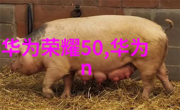 精馏设备在现代化食品工业中的应用与创新策略研究