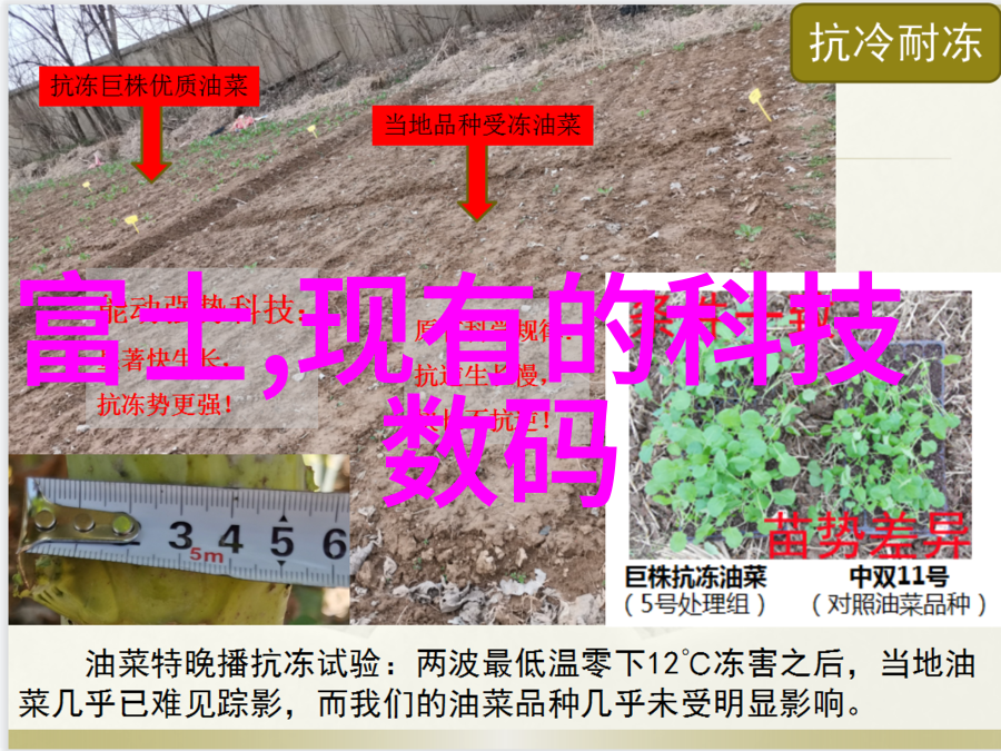 我的机器人大战粉碎机械设备重塑工业未来