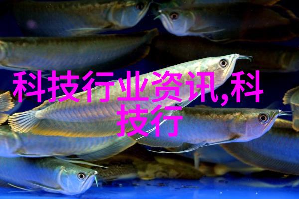 深圳职业技术学院-深耕专业筑梦未来深圳职业技术学院的教育创新与成就展望