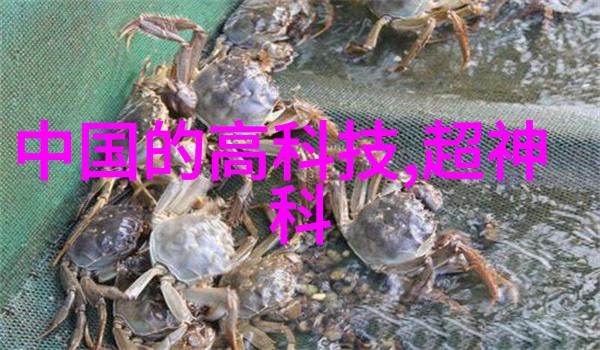 皮带输送机设备我是如何通过它提高工作效率的