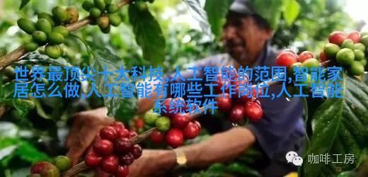 公园绿化项目现场拍摄